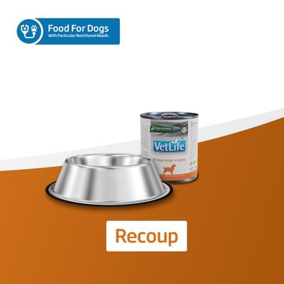 Show full view: Farmina Vet Life Recoup Recipe in Gravy Wet Dog Food, 10.6-oz can, case of 6 slide 7 of 9