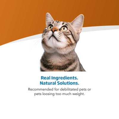 Show full view: Farmina Vet Life Recoup Recipe Wet Cat Food, 3-oz can, case of 12 slide 6 of 10