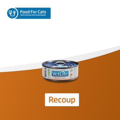 Show full view: Farmina Vet Life Recoup Recipe Wet Cat Food, 3-oz can, case of 12 slide 9 of 10