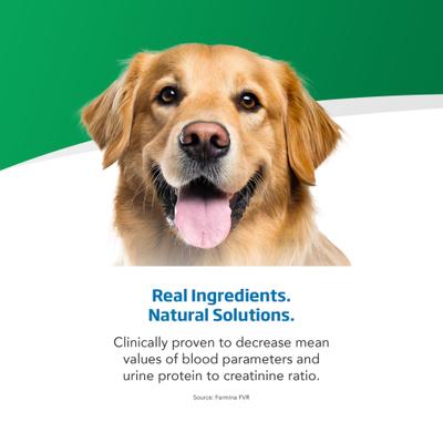 Show full view: Farmina Vet Life Renal Canine Dry Dog Food, 4.4-lb bag slide 5 of 11