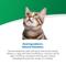 Show in main carousel: Farmina Vet Life Renal Feline Dry Cat Food, 11-lb bag slide 5 of 11