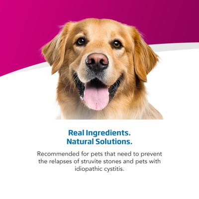Farmina Vet Life Urinary ST Management Canine Dry Dog Food