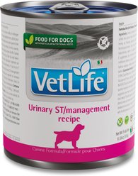 Farmina Vet Life Urinary ST Management Canine Wet Dog Food, 10.58-oz can, case of 6