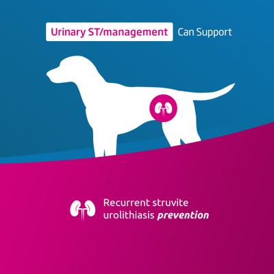 Show full view: Farmina Vet Life Urinary ST Management Canine Wet Dog Food, 10.58-oz can, case of 6 slide 4 of 9