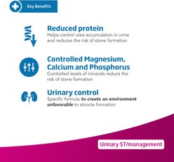 Farmina Vet Life Urinary St Management Feline Dry Cat Food, 4.4-lb bag slide 2 of 9