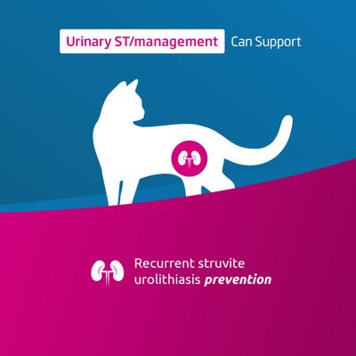 Show full view: Farmina Vet Life Urinary ST Management Feline Wet Cat Food, 3-oz can, case of 12 slide 4 of 10