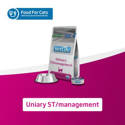 Show full view: Farmina Vet Life Urinary ST Management Feline Wet Cat Food, 3-oz can, case of 12 slide 8 of 10