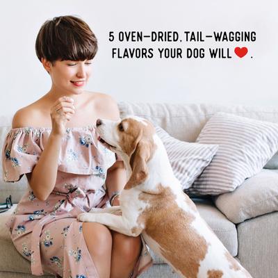 Show full view: Farmland Traditions USA Dogs Love Turkey & Sweet Potato Grain-Free Jerky Dog Treats, 6-oz bag slide 8 of 9