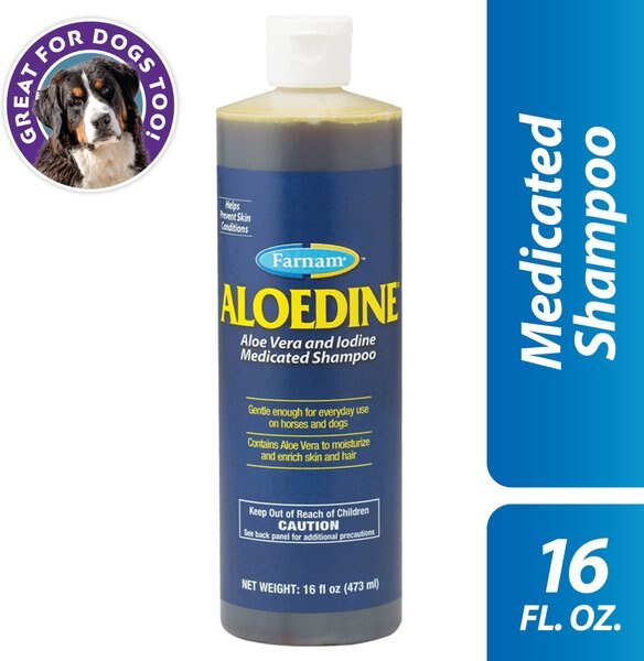 Farnam Aloedine Aloe Vera & Iodine Medicated Dog & Horse Shampoo, 16-fl oz bottle