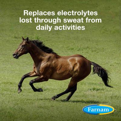 Show full view: Farnam Apple Elite Electrolyte Granules Apple Flavor Horse Supplement, 20-lb tub slide 2 of 11