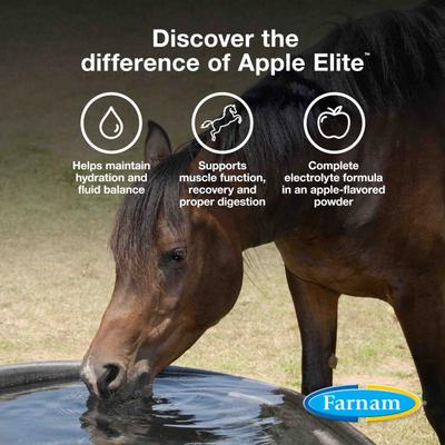 Show full view: Farnam Apple Elite Electrolyte Granules Apple Flavor Horse Supplement, 20-lb tub slide 3 of 11