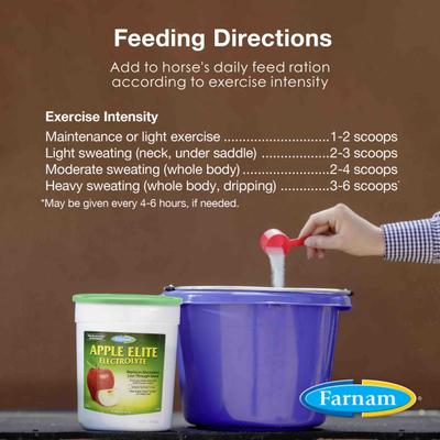 Show full view: Farnam Apple Elite Electrolyte Granules Apple Flavor Horse Supplement, 20-lb tub slide 4 of 11