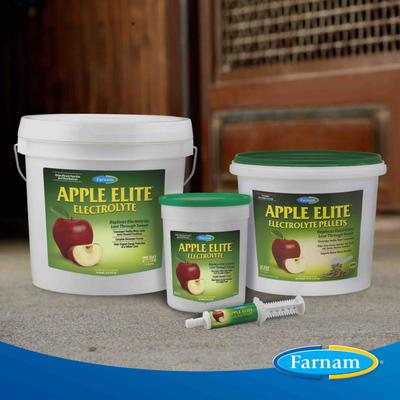 Show full view: Farnam Apple Elite Electrolyte Granules Apple Flavor Horse Supplement, 20-lb tub slide 7 of 11
