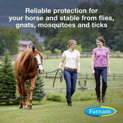 Farnam Bronco e Citronella Scented Equine Fly Spray, 1-gal bottle slide 2 of 9