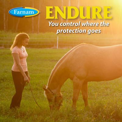 Show full view: Farnam Endure Horse Roll-On Fly Repellent, 3-fl oz bottle, bundle of 2 slide 5 of 9