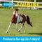 Show in main carousel: Farnam Endure Horse Roll-On Fly Repellent, 3-fl oz bottle, bundle of 2 slide 6 of 9