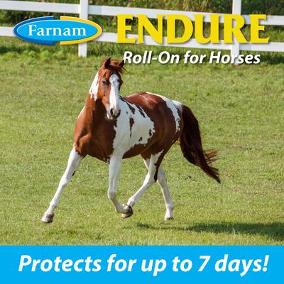 Show full view: Farnam Endure Horse Roll-On Fly Repellent, 3-fl oz bottle, bundle of 2 slide 6 of 9
