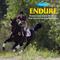 Show in main carousel: Farnam Endure Horse Roll-On Fly Repellent, 3-fl oz bottle slide 7 of 9