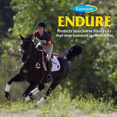Show full view: Farnam Endure Horse Roll-On Fly Repellent, 3-fl oz bottle slide 7 of 9