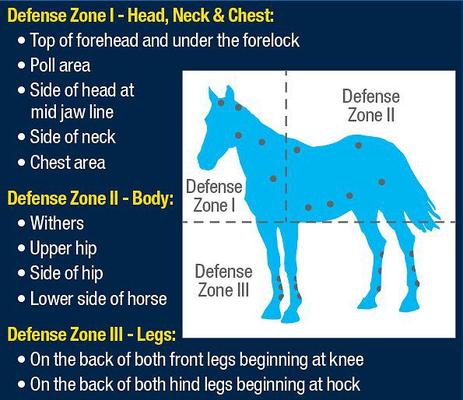Show full view: Farnam Equi-Spot Horse Spot-On Fly Control + SuperMask II Fly Mask Classic Collection slide 5 of 5