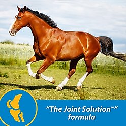 Farnam FluidFlex Joint Solution Liquid Horse Supplement, 128-fl oz bottle slide 2 of 8