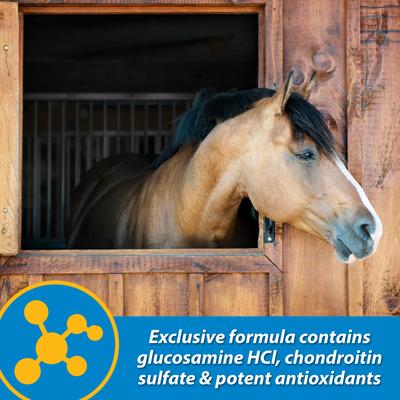 Show full view: Farnam FluidFlex Joint Solution Liquid Horse Supplement, 128-fl oz bottle slide 4 of 9