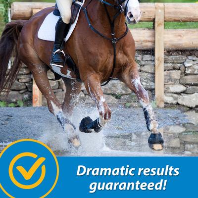 Show full view: Farnam FluidFlex Joint Solution Liquid Horse Supplement, 128-fl oz bottle slide 6 of 9