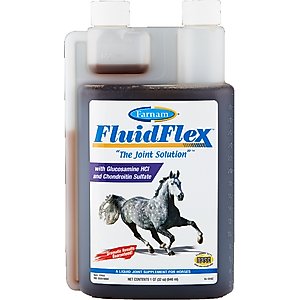 Select the Best MSM Powder Horse Joint Supplement