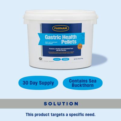 Show full view: Farnam Gastric Health Pellets Horse Supplement, 3.75-lb tub slide 3 of 11