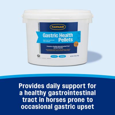 Show full view: Farnam Gastric Health Pellets Horse Supplement, 3.75-lb tub slide 2 of 11