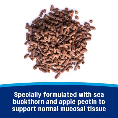 Show full view: Farnam Gastric Health Pellets Horse Supplement, 3.75-lb tub slide 7 of 11