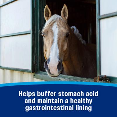 Show full view: Farnam Gastric Health Pellets Horse Supplement, 3.75-lb tub slide 5 of 11