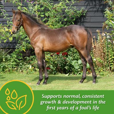 Show full view: Farnam Grow Colt Growth & Development Pellets Horse Supplement, 7.5-lb tub slide 3 of 9