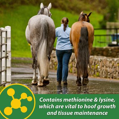 Show full view: Farnam H.B. 15 Hoof Health Hay Flavor Pellets Horse Supplement, 7-lb bucket slide 5 of 8