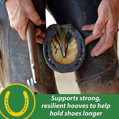 Show full view: Farnam HB 15 Horse Hoof Supplement, 3-lb bag slide 4 of 10
