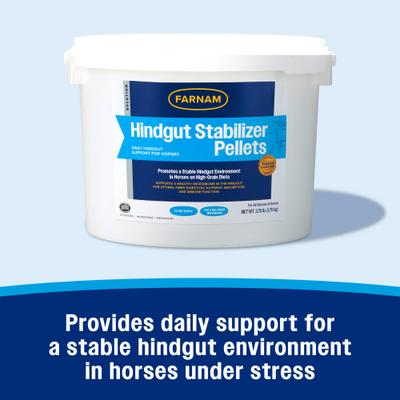 Show full view: Farnam Hindgut Stabilizer Pellets Horse Supplement, 3.75-lb tub slide 2 of 11
