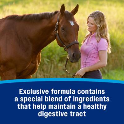 Show full view: Farnam Hindgut Stabilizer Pellets Horse Supplement, 3.75-lb tub slide 6 of 11