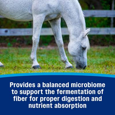 Show full view: Farnam Hindgut Stabilizer Pellets Horse Supplement, 3.75-lb tub slide 4 of 11
