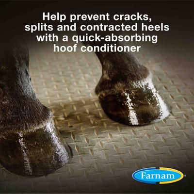 Show full view: Farnam Horseshoer's Secret Horse Hoof Care Hoof Conditioner, 32-oz bottle slide 2 of 9