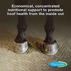 Farnam Horseshoer's Secret Pelleted Hoof Supplement Concentrate, Promotes Healthy Hoof Growth in Horses 3.75-lbs. slide 2 of 9