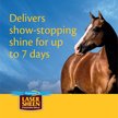 Show in main carousel: Farnam Laser Sheen Dazzling Shine & Detangler Concentrate, 12-fl oz bottle slide 3 of 9