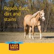 Show in main carousel: Farnam Laser Sheen Dazzling Shine & Detangler Concentrate, 12-fl oz bottle slide 6 of 9
