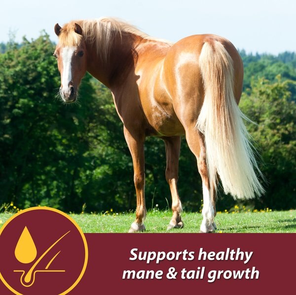 Farnam Laser Sheen Skin & Coat Horse Supplement