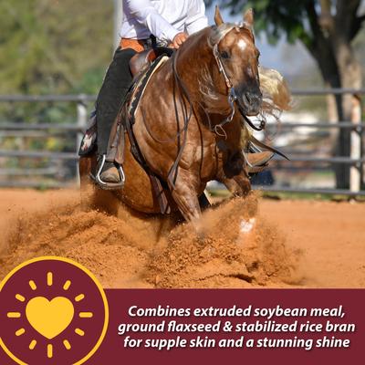 Show full view: Farnam Laser Sheen Skin & Coat Horse Supplement, 3.75-lb bag slide 5 of 10