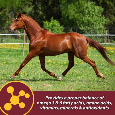 Show full view: Farnam Laser Sheen Skin & Coat Horse Supplement, 7.5-lb bucket slide 6 of 10