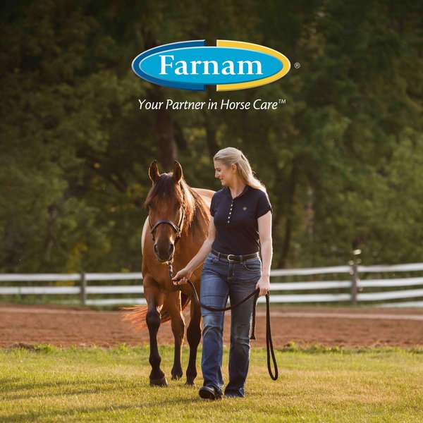 Show full view: Farnam Leather New Horse Polishing Soap, 16-fl oz bottle slide 7 of 12