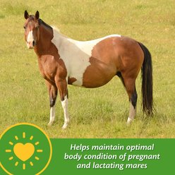 Farnam Mare Plus Gestation & Lactation Nutritional Pellets Horse Supplement, 5-lb tub slide 2 of 8