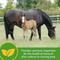 Show in main carousel: Farnam Mare Plus Gestation & Lactation Nutritional Pellets Horse Supplement, 7.5-lb tub slide 3 of 8