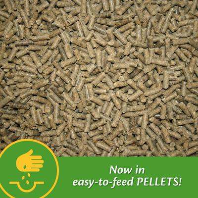 Show full view: Farnam Mare Plus Gestation & Lactation Nutritional Pellets Horse Supplement, 7.5-lb tub slide 5 of 8