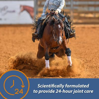 Show full view: Farnam MaxFlex XR Extended Release Horse Joint Supplement, 0.9375-lb jar slide 3 of 11